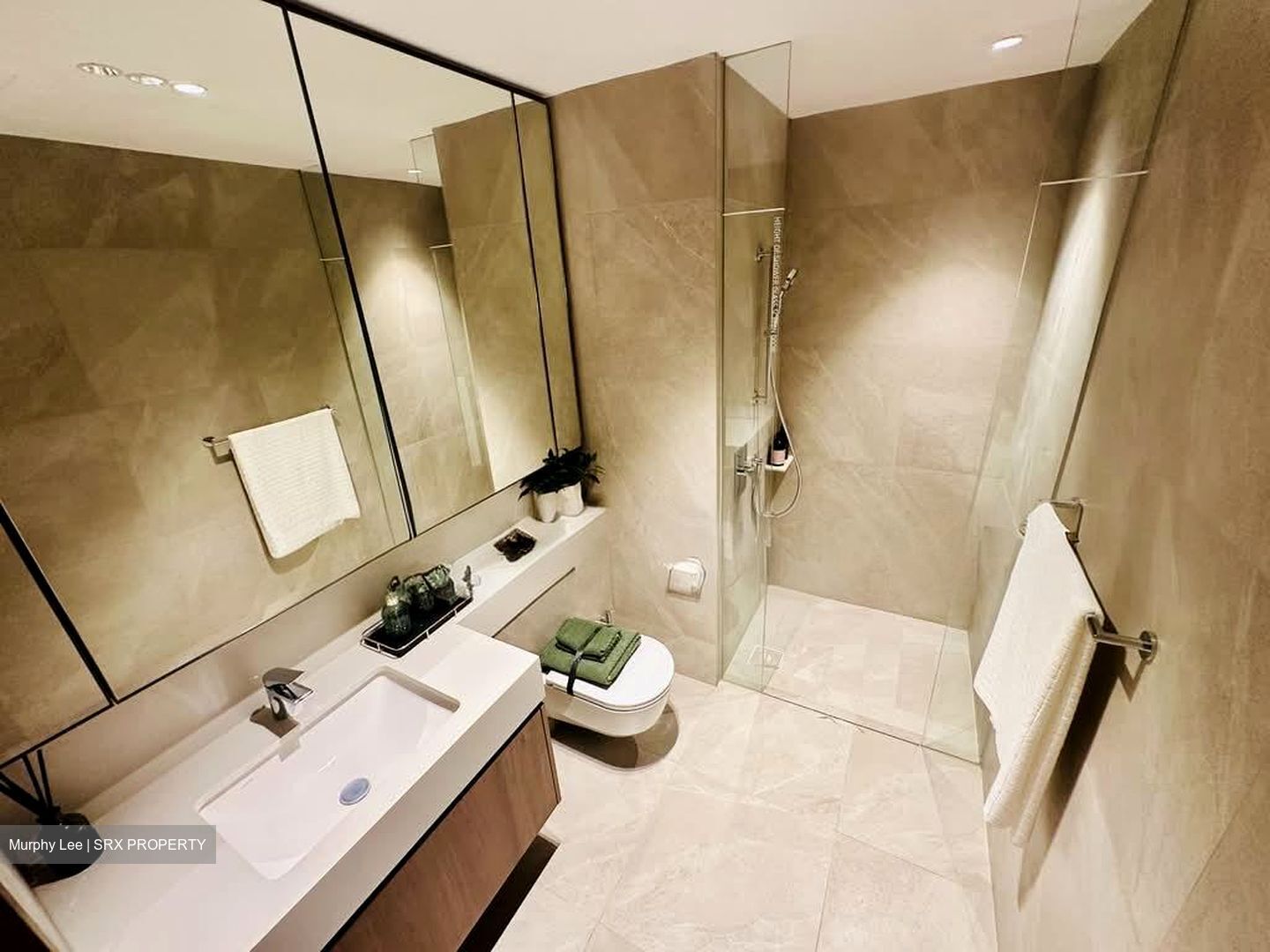 Terra Hill (D5), Apartment #548901121
